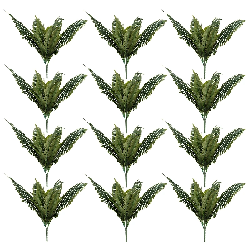 Pack: Boston Fern Bush by Ashland