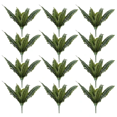 Pack: Boston Fern Bush by Ashland