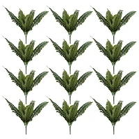 Pack: Boston Fern Bush by Ashland