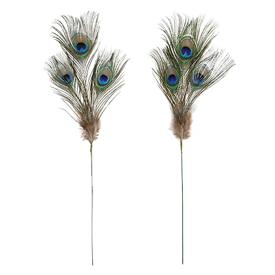 12 Pack: Peacock Feather Picks by Ashland®