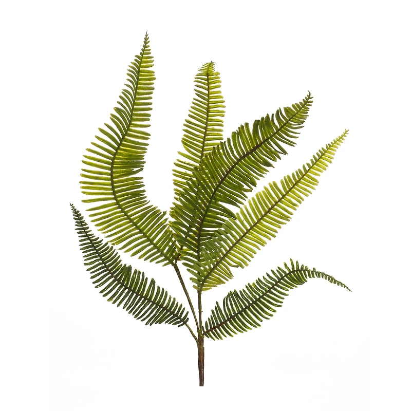 Fern Spray, 6ct.