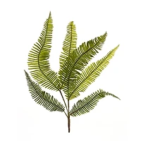 Fern Spray, 6ct.