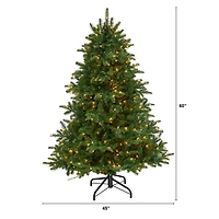 5ft. Pre-Lit South Carolina Spruce Artificial Christmas Tree with Clear LED Lights