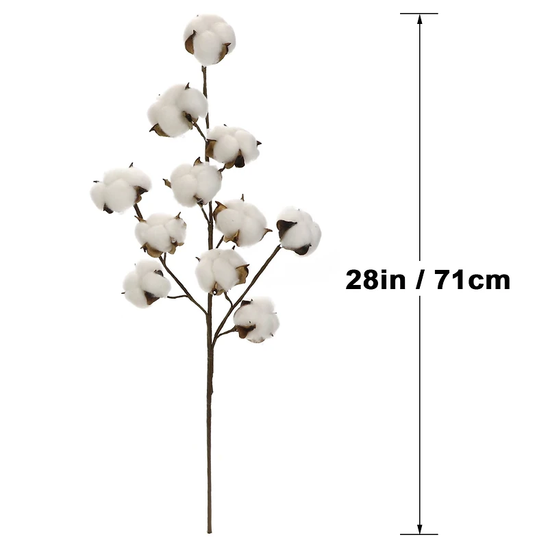 Cotton Stem by Ashland®