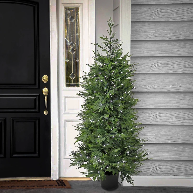 5ft. Pre-Lit Cypress Artificial Christmas Tree, Multi-Function LED Lights