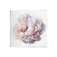 Stupell Industries Detailed Peony Petals Wall Plaque Art