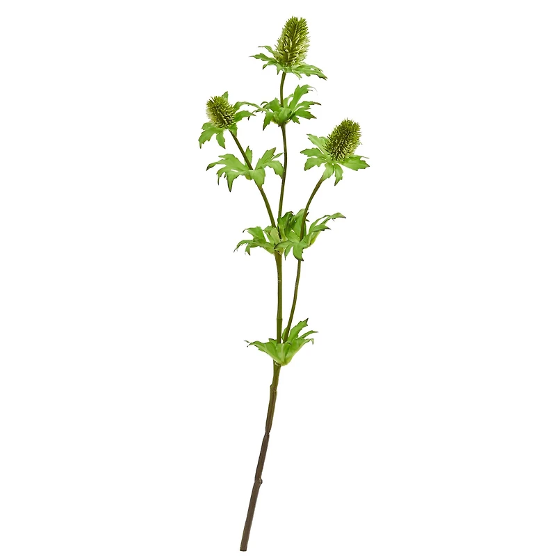 Green Thistle Stem, 12ct.
