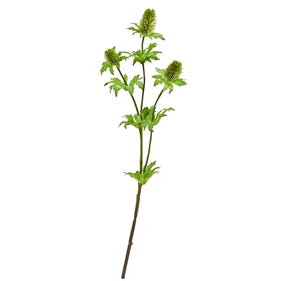 Green Thistle Stem, 12ct.
