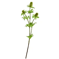 Green Thistle Stem, 12ct.