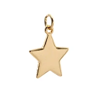 Charmalong™ 14K Gold Plated Star Charm by Bead Landing™