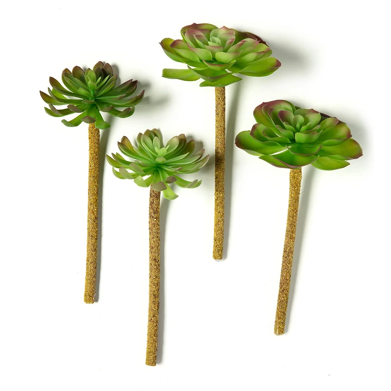 12 Pack: Assorted Red Tipped Succulent Pick by Ashland®