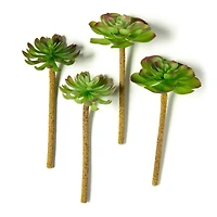 12 Pack: Assorted Red Tipped Succulent Pick by Ashland®