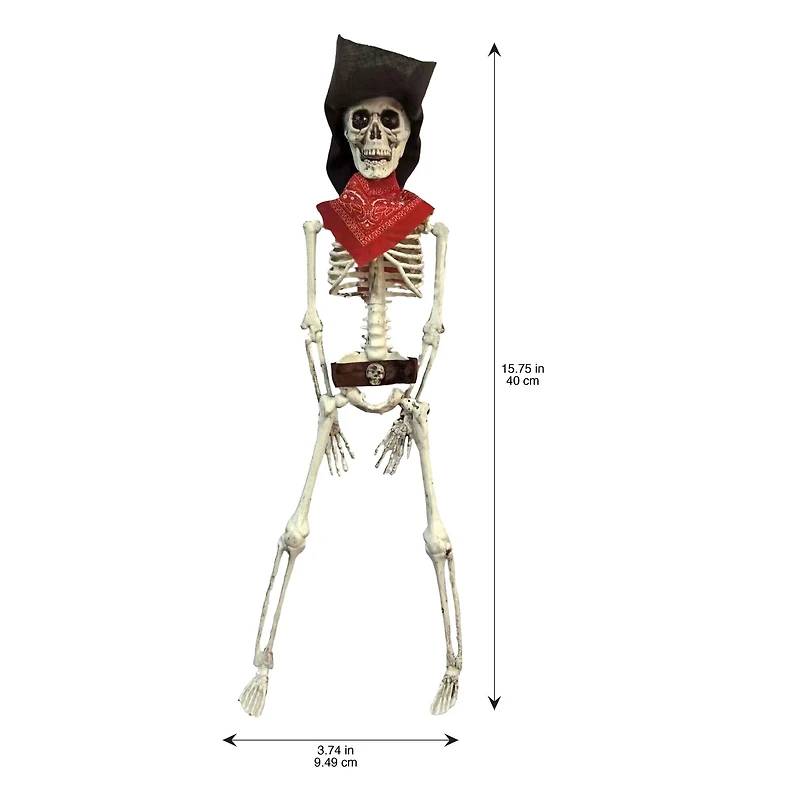 16" Pirate Skeleton by Ashland®