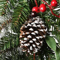30" Frosted Pine Berry Collection Wreaths with Big White Edged Pine Cones, Red Berries, Silver Glittered Eucalyptus Leaves & Warm White LED Lights