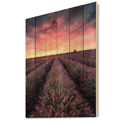 Designart - Sunrise & Dramatic Clouds Over Lavender Field XIV
