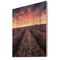 Designart - Sunrise & Dramatic Clouds Over Lavender Field XIV