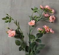 Pink Kate Rose Spray by Ashland®
