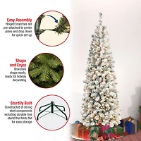 6ft. Pre-Lit Flocked Acacia Pencil Artificial Christmas Tree, Clear Lights