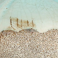 Hello Honey® Distressed Finish Brown & White Terracotta Vase Set