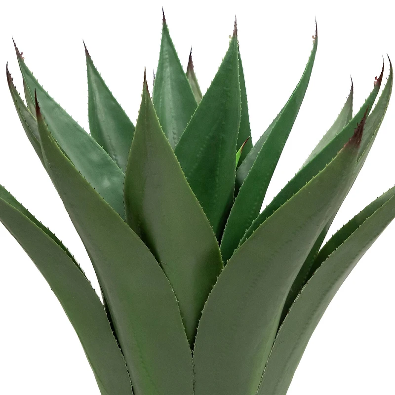 2ft. Potted Green Agave Americana Artificial Succulent Plant