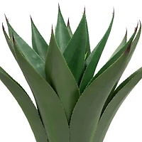 2ft. Potted Green Agave Americana Artificial Succulent Plant