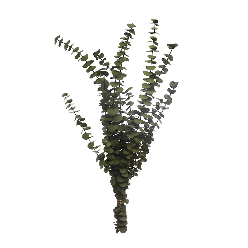 Kelly Green Dried Eucalyptus Bundle by Ashland®