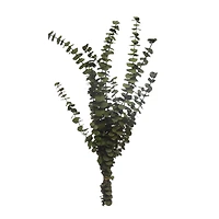 Kelly Green Dried Eucalyptus Bundle by Ashland®