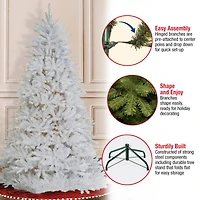 6.5ft. Pre-Lit Dunhill® White Fir Artificial Christmas Tree, Clear Lights