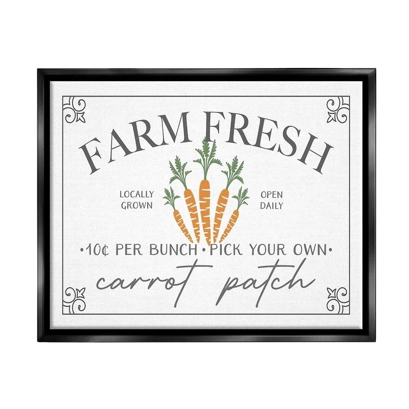 Stupell Industries Farm Fresh Carrot Patch Seasonal Springtime Vegetables Floater Framed Art