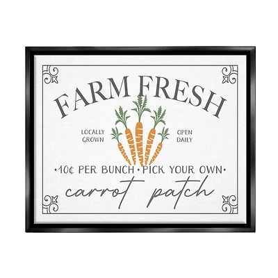 Stupell Industries Farm Fresh Carrot Patch Seasonal Springtime Vegetables Floater Framed Art