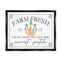 Stupell Industries Farm Fresh Carrot Patch Seasonal Springtime Vegetables Floater Framed Art