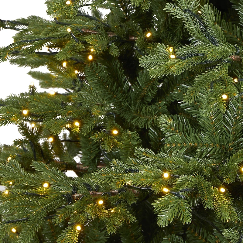 7.5ft. Pre-Lit Wyoming Spruce Artificial Christmas Tree with Clear LED Lights