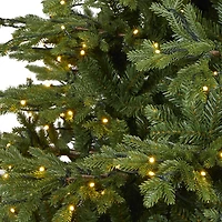 7.5ft. Pre-Lit Wyoming Spruce Artificial Christmas Tree with Clear LED Lights