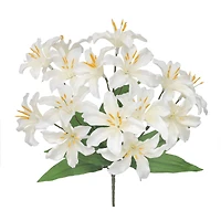 12.5" Lily Bush by Ashland