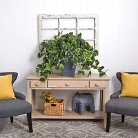 2.5ft. Hanging Pothos with Slate Planter