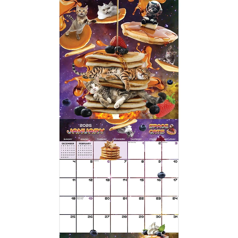 2026 Space Cats Wall Calendar