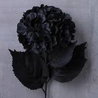 Black Hydrangea Stem by Ashland®