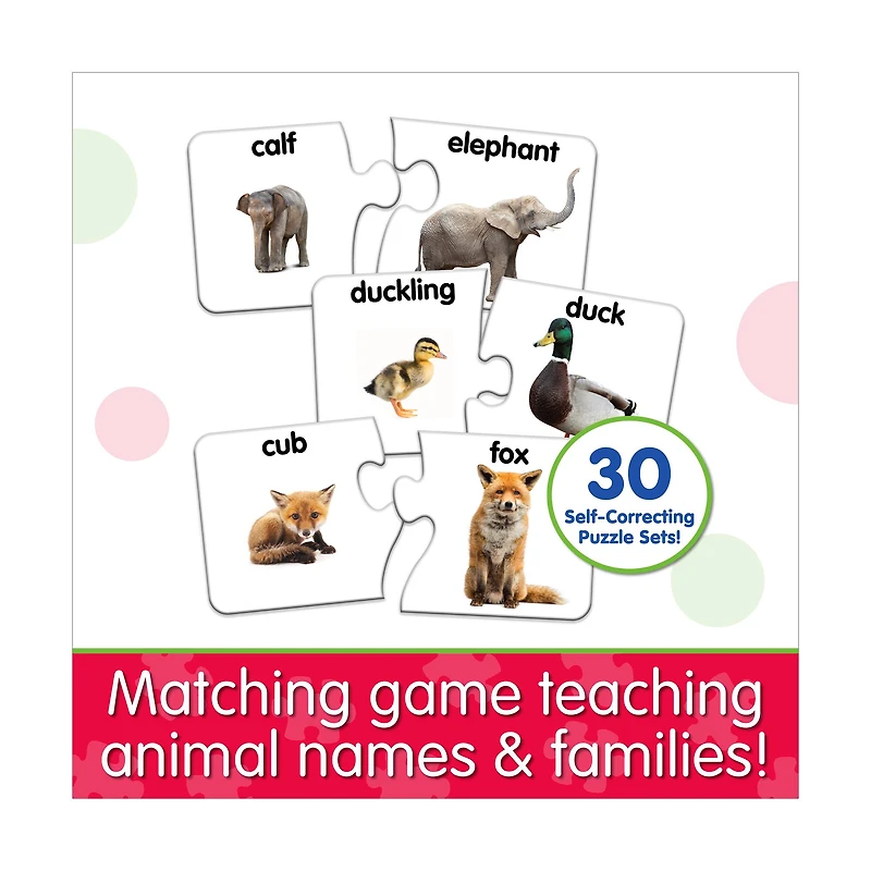 Match It! - Animal Families