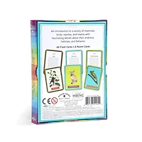 eeBoo Beautiful World Educational Flash Cards