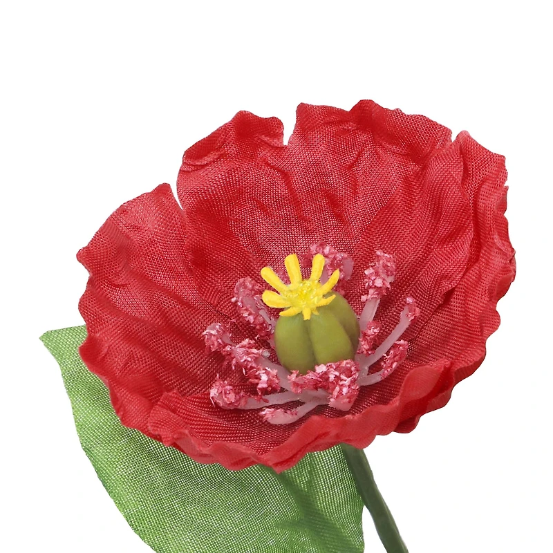 4" Red Poppy Arrangement in White Container by Ashland®