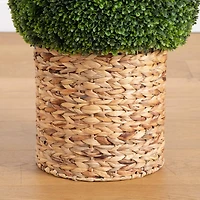 2ft. UV-Resistant Artificial Boxwood Ball Topiary in Hyacinth Weave Basket