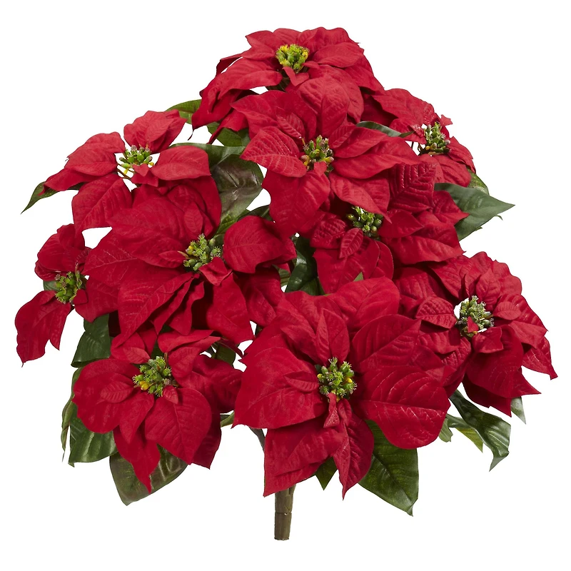 24" Red Poinsettia Plant Set