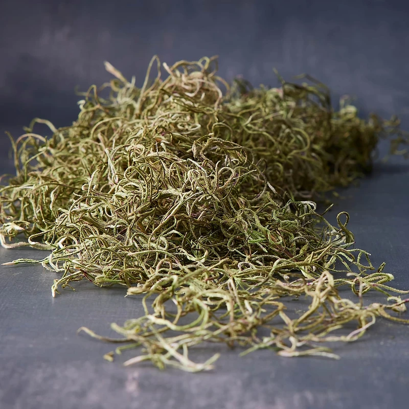 Basil Green Spanish Moss by Ashland®