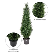 4ft. Potted Green Cedar Tree