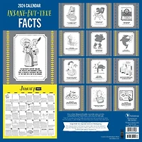 TF Publishing 2024 Insane But True Wall Calendar