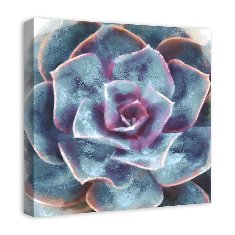 Purple And Teal Succulent 20" x 20" Canvas Wall Art