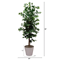 5.5ft. Artificial Ficus Double Stalk Tree in Hexagon Metal Planter