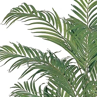 4ft. Potted Areca Silk Palm Tree
