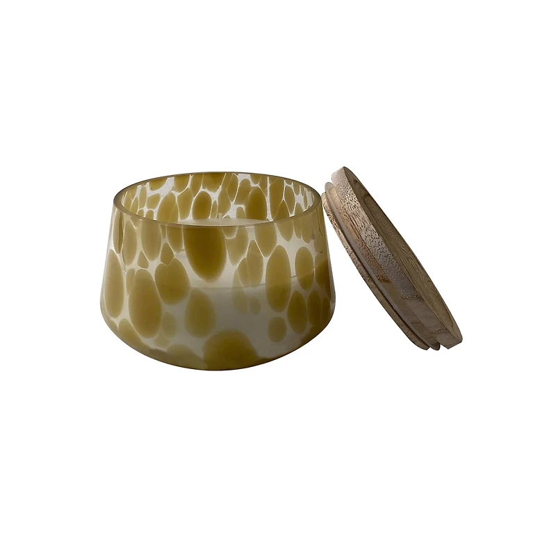 13.5oz. 3-Wick Scented Murano Glass Jar Candle by Ashland