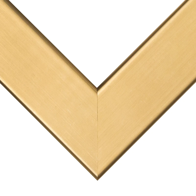 Frame USA Stainless Gold Single Image Picture Frame